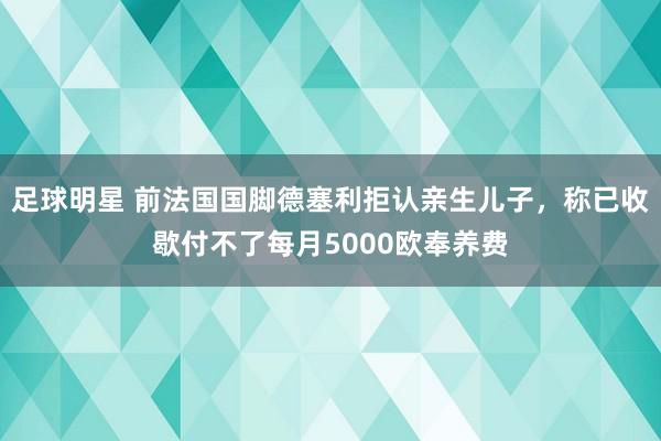 足球明星 前法国国脚德塞利拒认亲生儿子，称已收歇付不了每月5000欧奉养费