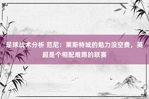 足球战术分析 范尼：莱斯特城的勉力没空费，英超是个相配难踢的联赛