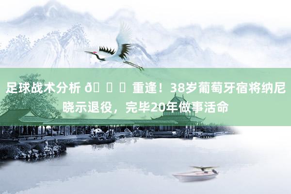 足球战术分析 👋重逢！38岁葡萄牙宿将纳尼晓示退役，完毕20年做事活命